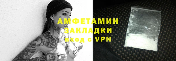прущие грибы Богданович
