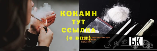 прущие грибы Богданович