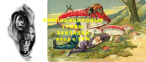 прущие грибы Богданович