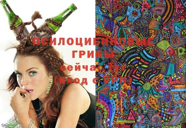 прущие грибы Богданович