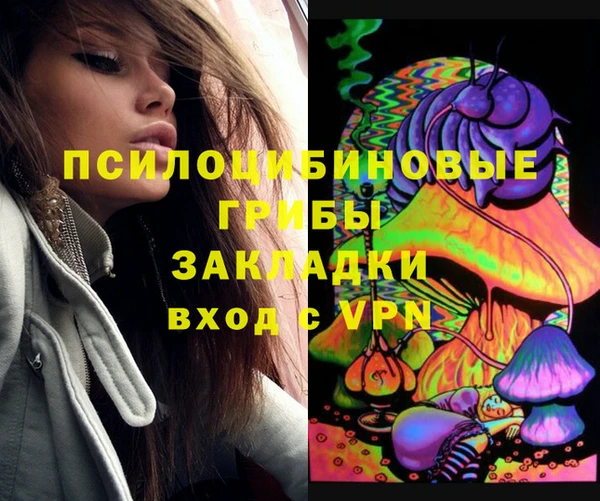 прущая мука Богородск