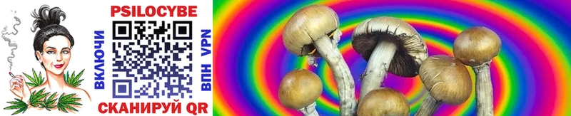 Псилоцибиновые грибы Magic Shrooms Купить закладки Палласовка